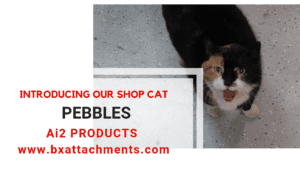 Shop Cat Pebbles